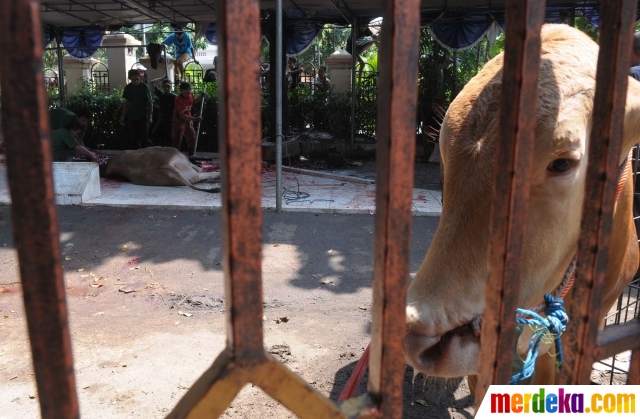 Foto : Penyembelihan 79 hewan kurban di Masjid Sunda 