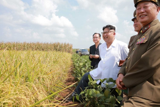 Kepuasan Kim Jong-un lihat hasil panen jagungnya melimpah
