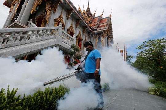 Zika meluas di Thailand, rumah, kuil sampai kampus diasapi