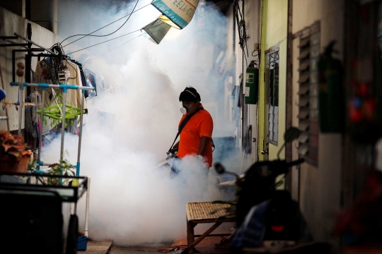 Zika meluas di Thailand, rumah, kuil sampai kampus diasapi