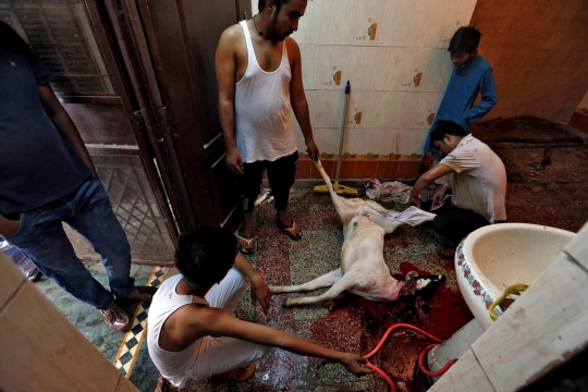 Potret minoritas muslim India sembelih hewan kurban di dalam rumah