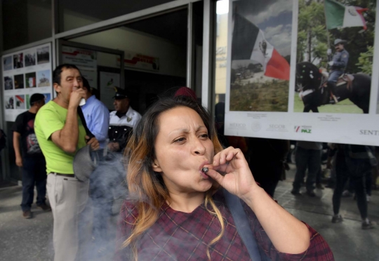 Aksi legalisasi ganja, warga Meksiko 'nyimeng' di depan Gedung Senat