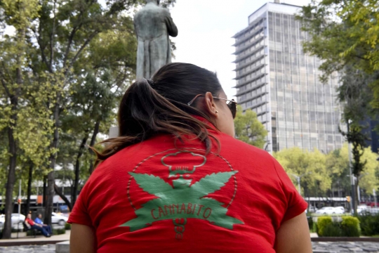 Aksi legalisasi ganja, warga Meksiko 'nyimeng' di depan Gedung Senat
