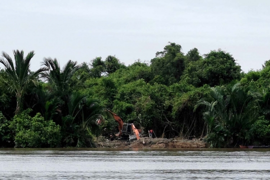 Melihat lebih dekat aktivitas pembalakan di hutan Kalimantan