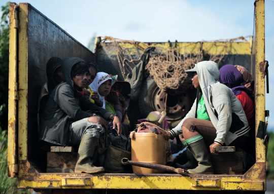 Melihat lebih dekat aktivitas pembalakan di hutan Kalimantan