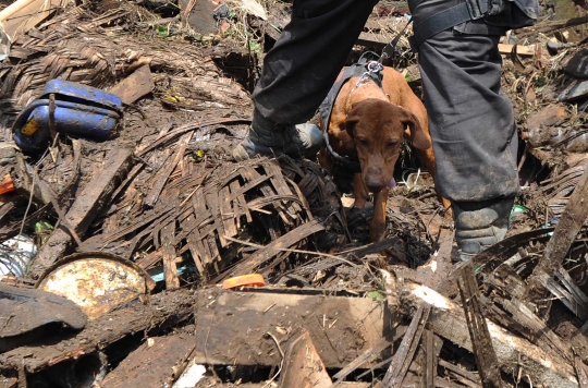 Polda Jabar kerahkan anjing K-9 cari korban hilang banjir Garut