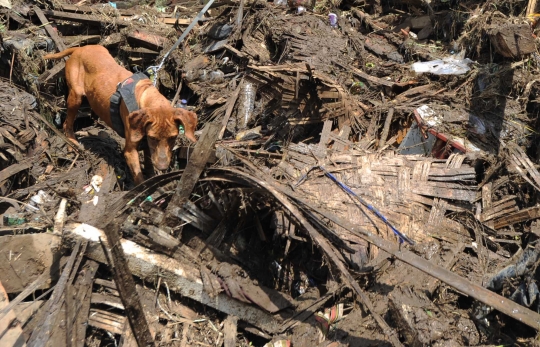 Polda Jabar kerahkan anjing K-9 cari korban hilang banjir Garut