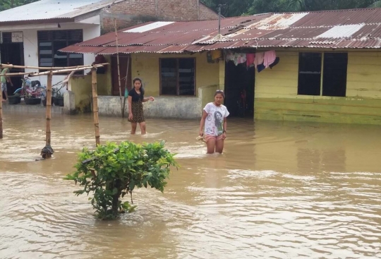 Pasca-hujan deras, banjir dan pohon tumbang kepung Medan