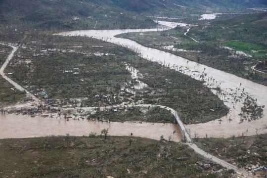 Keganasan Badai Matthew gunduli pepohonan Haiti