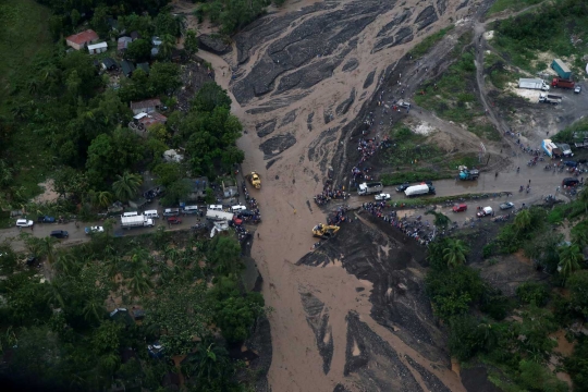 Keganasan Badai Matthew gunduli pepohonan Haiti
