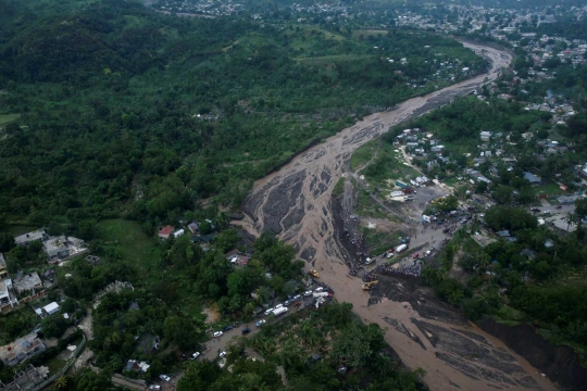Keganasan Badai Matthew gunduli pepohonan Haiti