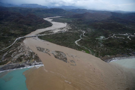 Keganasan Badai Matthew gunduli pepohonan Haiti