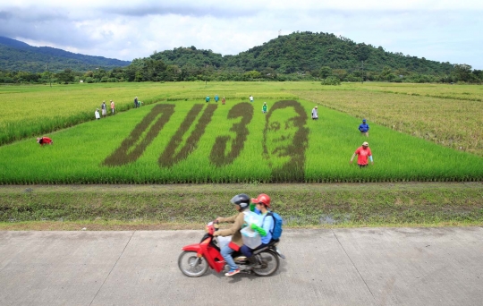 Keren, petani Filipina buat stensil wajah Duterte di sawah