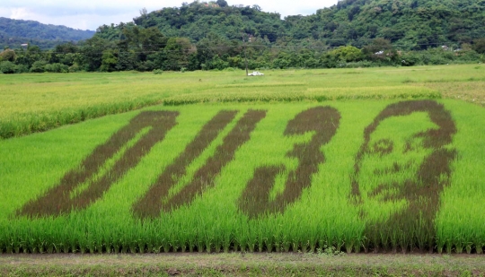 Keren, petani Filipina buat stensil wajah Duterte di sawah