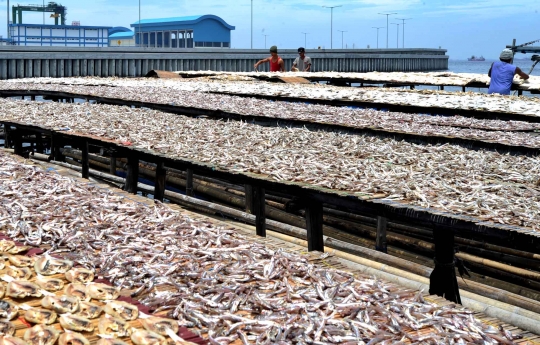 Musim hujan membawa berkah bagi pembuat ikan asin