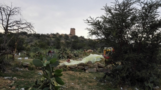 Menikmati kesejukan Taif di Makkah, mirip Puncak Bogor