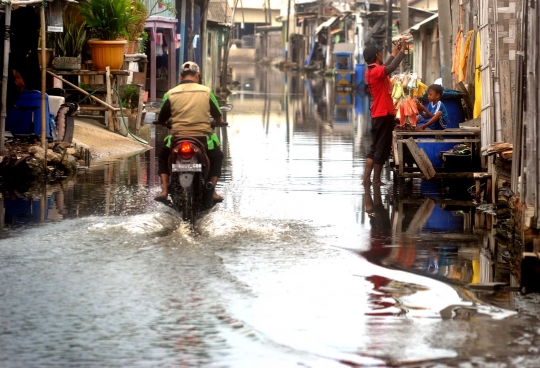 Dampak reklamasi Pulau D bikin banjir rob di Tangerang tak surut