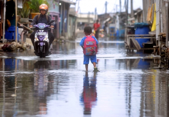 Dampak reklamasi Pulau D bikin banjir rob di Tangerang tak surut
