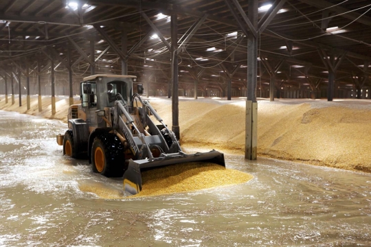 Banjir akibat Badai Matthew rendam gudang jagung di AS