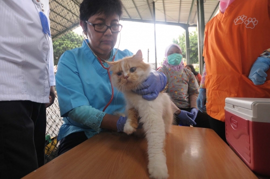 Cegah rabies, hewan-hewan peliharaan di Pondok Kopi divaksin