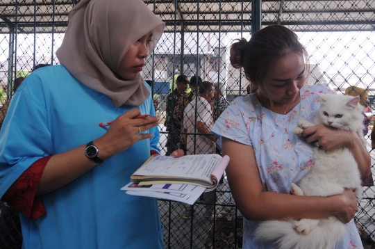 Cegah rabies, hewan-hewan peliharaan di Pondok Kopi divaksin