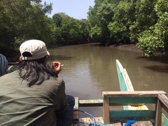 Menjelajahi landscape keindahan Taman Nasional Alas Purwo