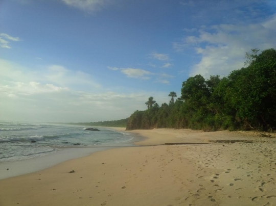 Menjelajahi landscape keindahan Taman Nasional Alas Purwo