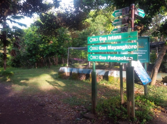 Menjelajahi landscape keindahan Taman Nasional Alas Purwo