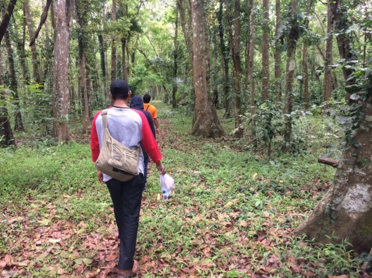 Menjelajahi landscape keindahan Taman Nasional Alas Purwo