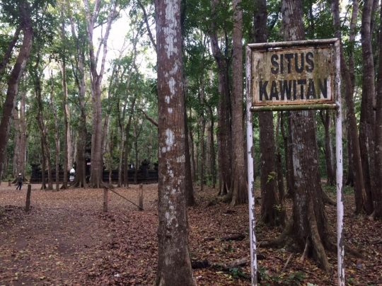 Menjelajahi landscape keindahan Taman Nasional Alas Purwo