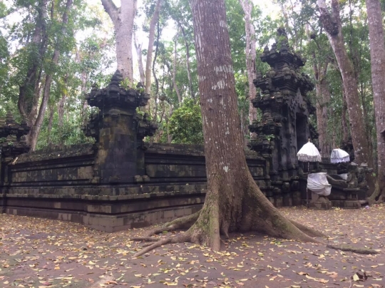 Menjelajahi landscape keindahan Taman Nasional Alas Purwo