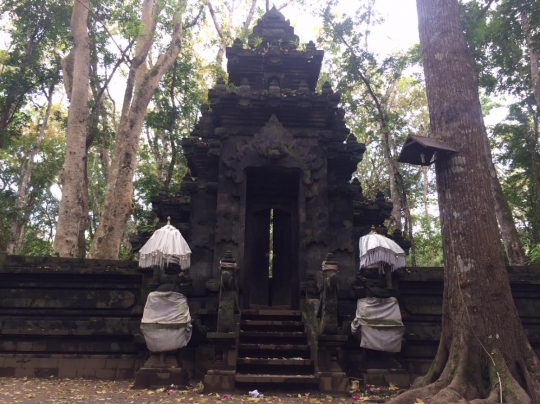 Menjelajahi landscape keindahan Taman Nasional Alas Purwo