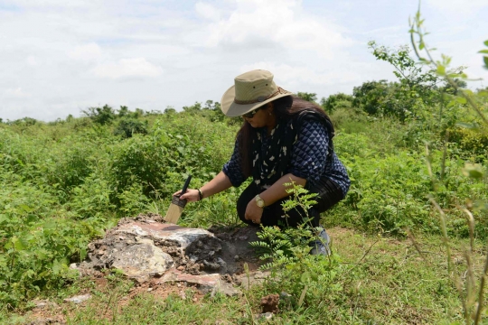 Jejak peradaban dinosaurus di Balasinor