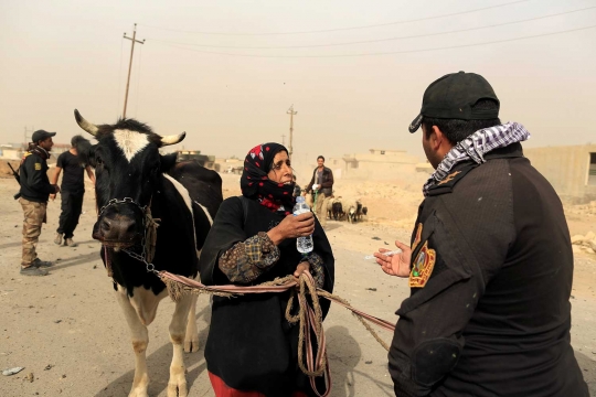 Pengungsi Irak berduyun-duyun selamatkan hewan ternak dari Mosul