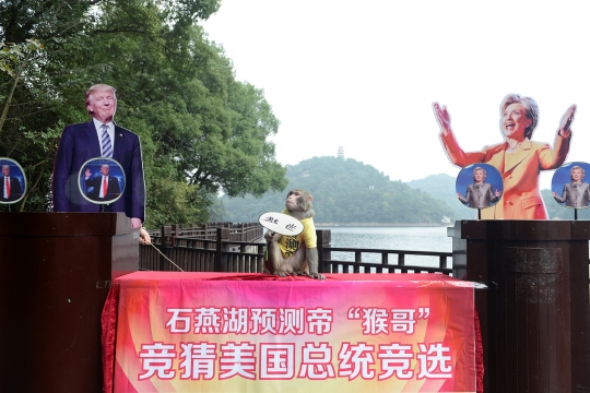 Aksi lucu seekor moyet di China ramal hasil Pemilu AS