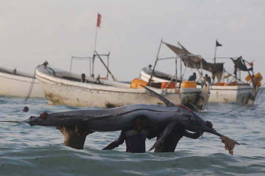 Potret kehidupan pemburu 'monster laut' Samudera Hindia