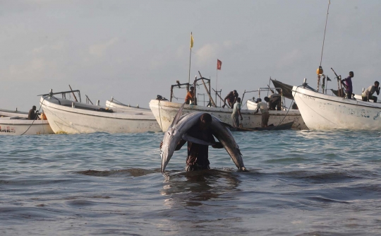 Potret kehidupan pemburu 'monster laut' Samudera Hindia