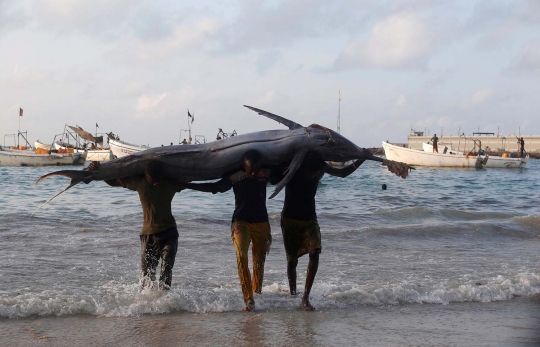 Potret kehidupan pemburu 'monster laut' Samudera Hindia