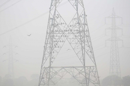 Parahnya polusi udara menyelimuti India