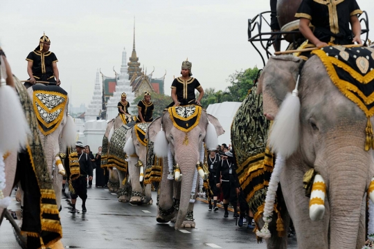 Aksi gajah putih beri penghormatan untuk Raja Thailand