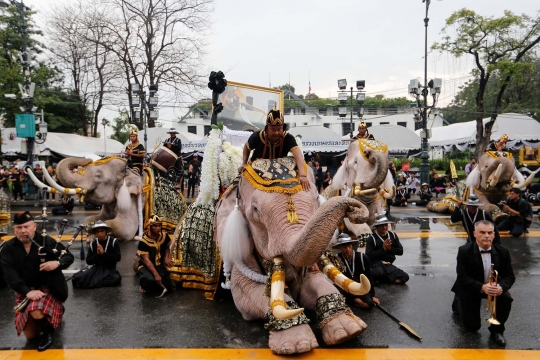 Aksi gajah putih beri penghormatan untuk Raja Thailand