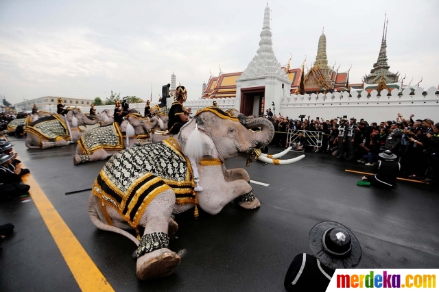 Aksi gajah putih beri penghormatan untuk Raja Thailand. Gajah-gajah tersebut duduk bersimpuh di depan Royal Palace, tempat jenazah Raja Bhumibol Adulyadej disemayamkan.