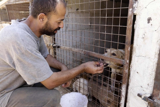 Kisah relawan rawat anjing dan kucing korban perang Suriah
