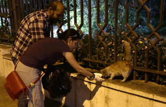 Kisah relawan rawat anjing dan kucing korban perang Suriah