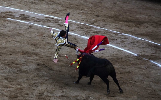 Matador ini habis-habisan ditanduk banteng