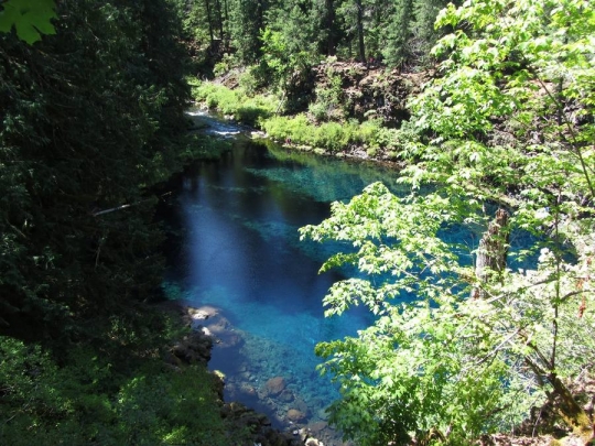 Menikmati keindahan kolam biru Tamolitch di Oregon