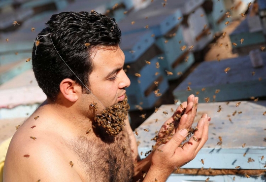 Demi ikut karnaval, pria Mesir ini rela lebah bersarang di dagunya