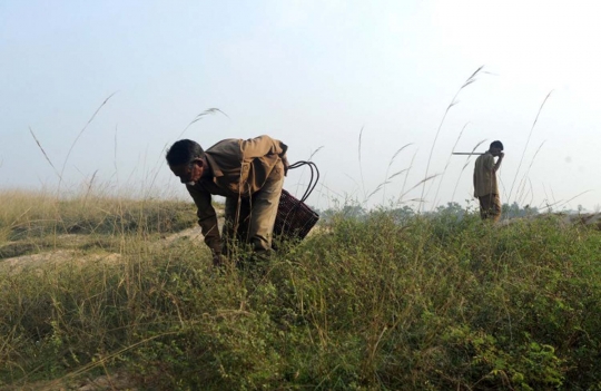 Potret kehidupan pemburu kobra di India