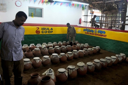 Potret kehidupan pemburu kobra di India