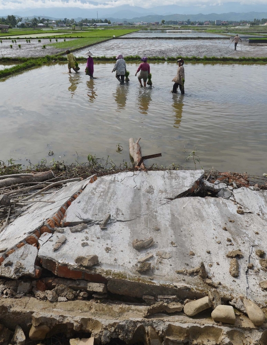 Warga korban gempa di Aceh mulai kembali beraktivitas